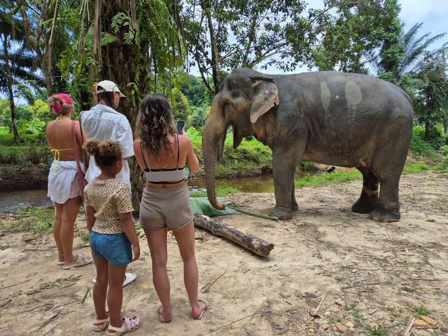 Khaolak Guide Tour to Sunday Market and Rescured Elephant - Eating through Takua Pa Sunday Market