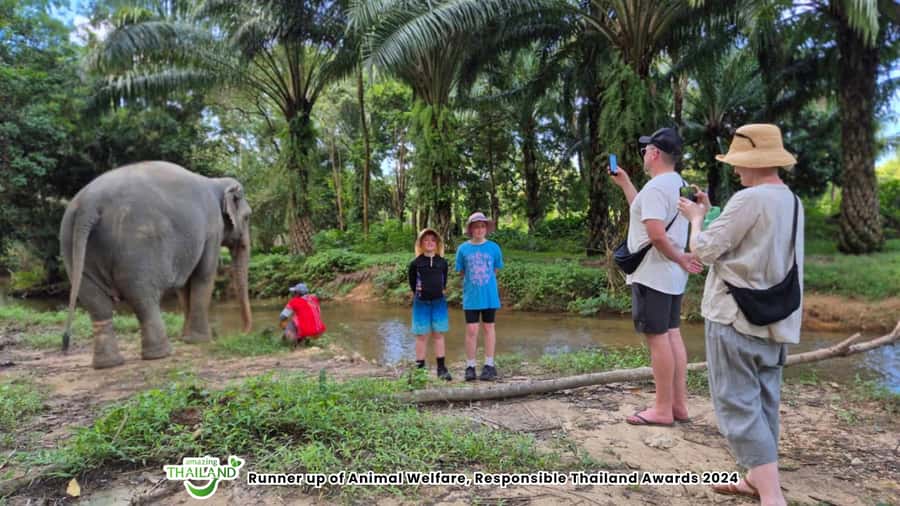 Khaolak Guide Tour to Sunday Market and Rescured Elephant - Takua Pa Old Town and its Sino-Portuguese streets