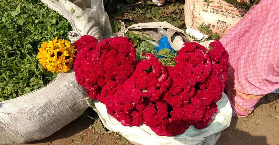 Kolkata: Half-Day Morning Tour w/ Flower Market - Seeing Howrah Bridge from the flower market