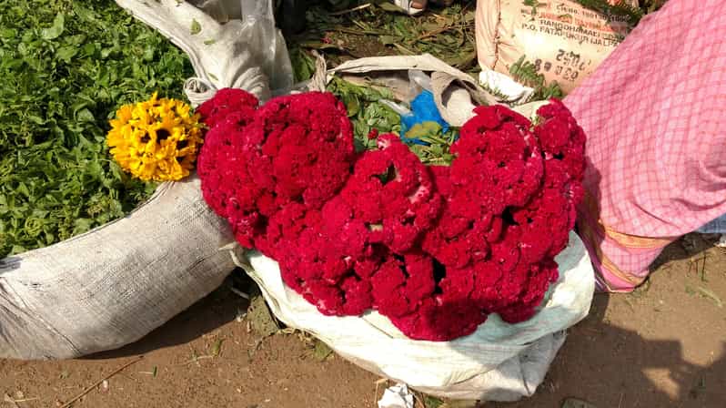 Kolkata: Half-Day Morning Tour w/ Flower Market - Understanding Victoria Memorial in a short visit