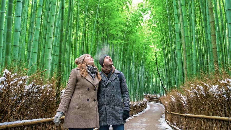 Kyoto: Arashiyama Unveiled Bamboo, Temple, Matcha, & Monkeys - The Bamboo Grove offers Arashiyama’s famous walk