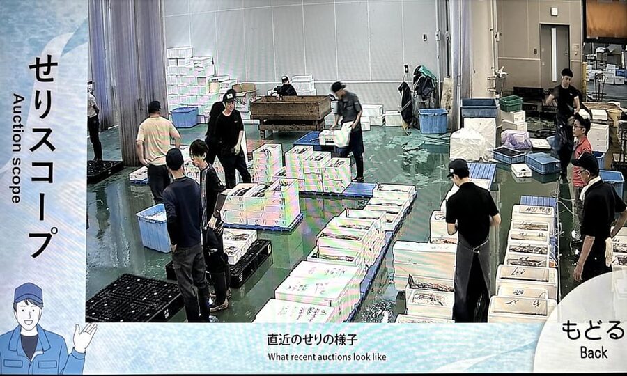 Kyoto: Wholesale Fish Market Walking Tour - Should you book the Kyoto fish market tour?
