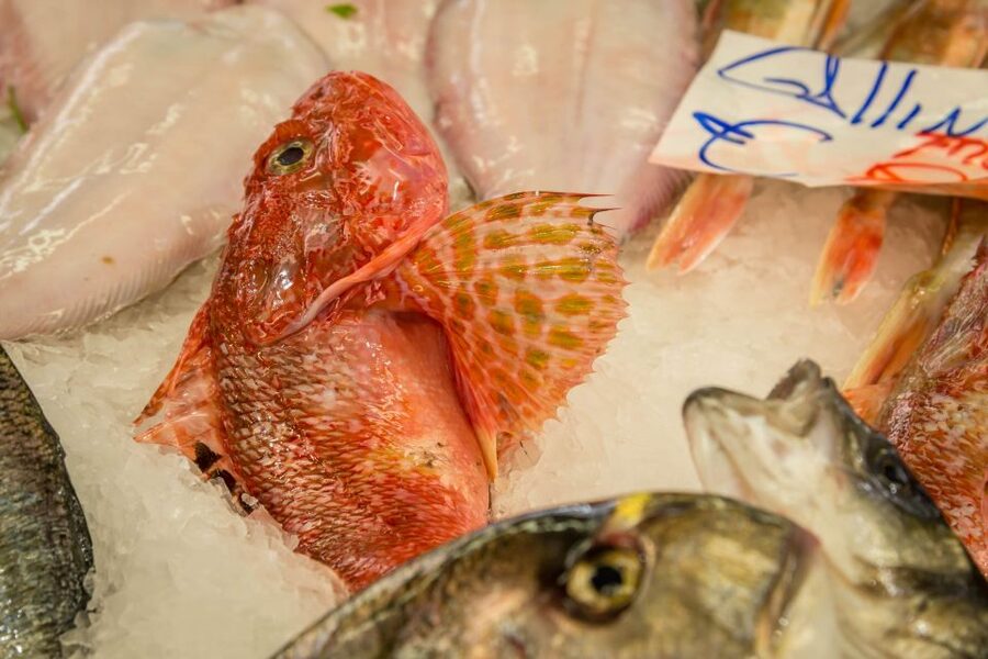 La Spezia: Market Visit and Seafood Cooking Class with Lunch - Who will enjoy this cooking class most