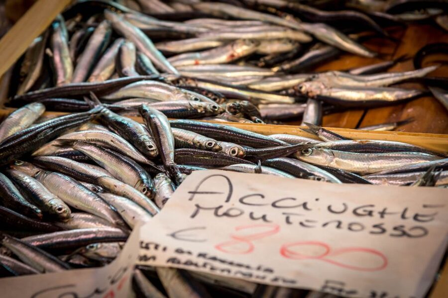 La Spezia: Market Visit and Seafood Cooking Class with Lunch - Practical booking advice
