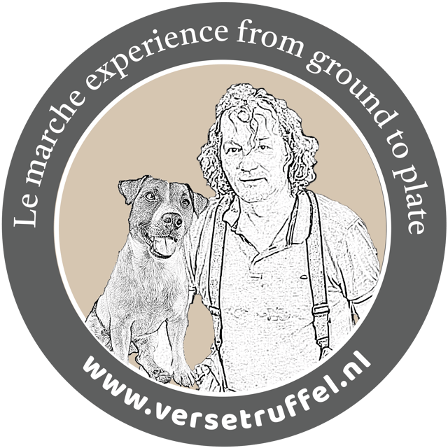 Le Marche: Truffle Hunt with Lunch or Dinner - Key points to know before booking