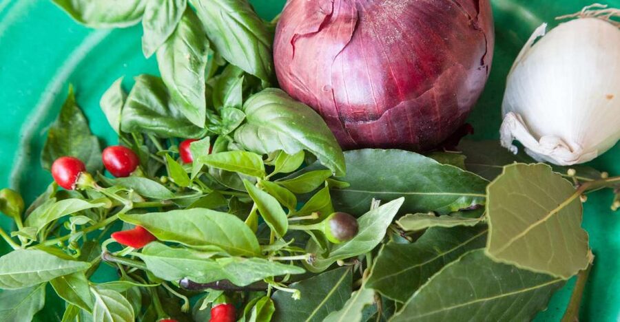 Lecce: Market and Private Cooking Class at a Local's Home - Why the market visit matters in Lecce