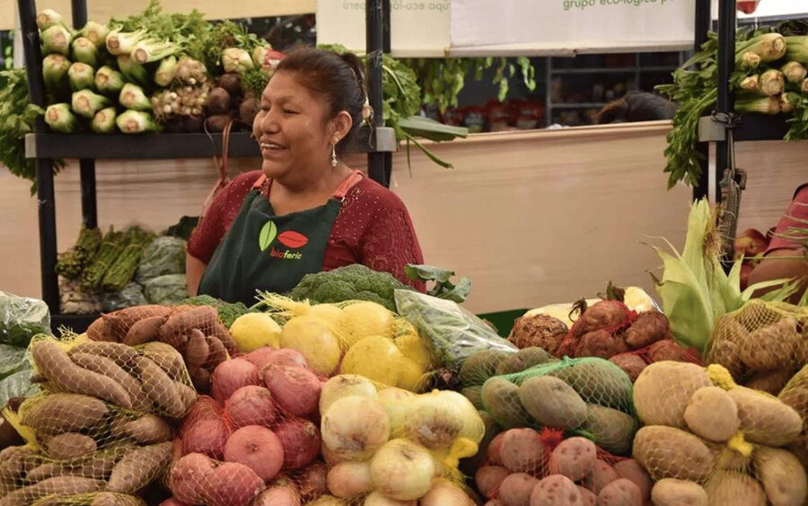 Lima Food Experience with local Markets & Barranco Tour - Maria’s guiding style and what the guide adds