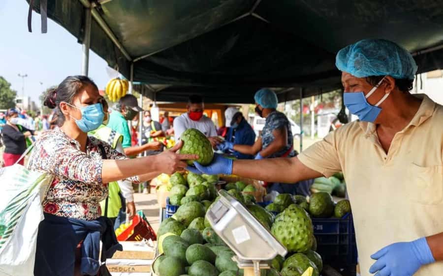 Lima Food Experience with local Markets & Barranco Tour - Surquillo Market: begin with Peru’s ingredients