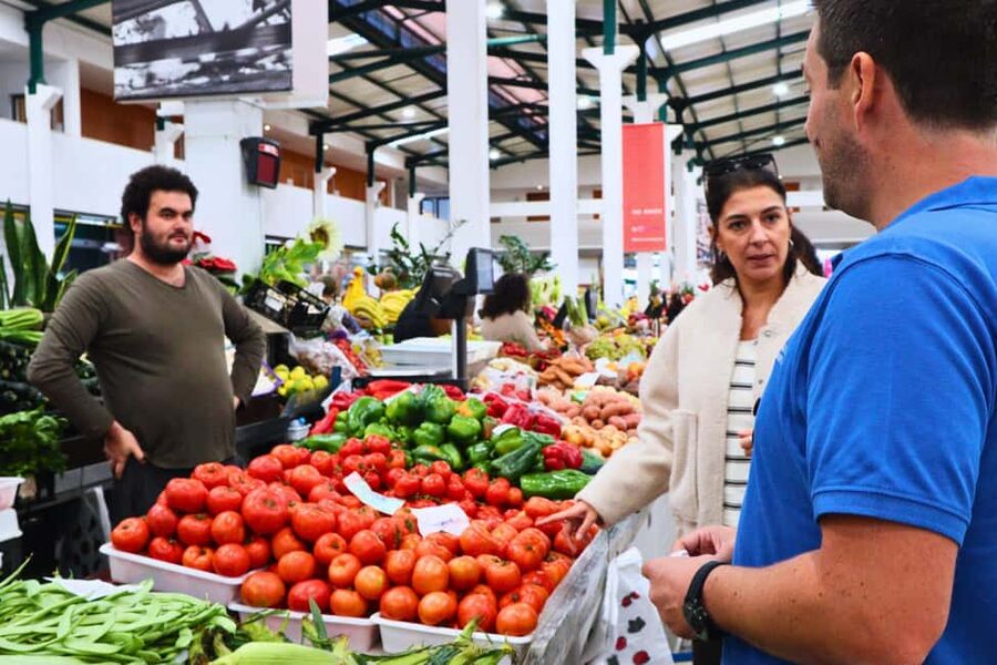 Lisbon: Setúbal Market and Wine tour with Cooking class - The small group changes the feel of the day