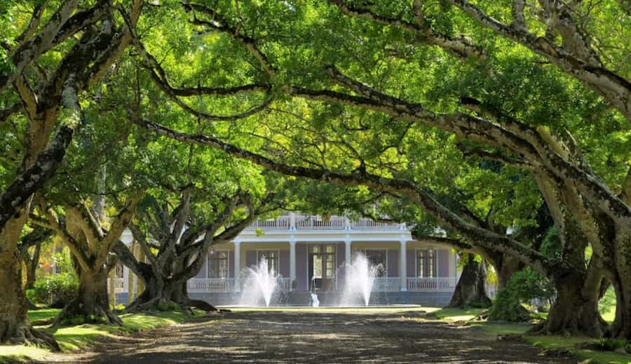 local Market,Botanical garden,Rum tasting & authentic Lunch - Key points to know before booking