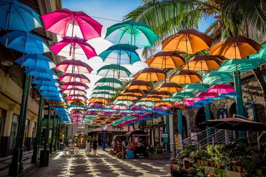 local Market,Botanical garden,Rum tasting & authentic Lunch - An authentic lunch stop, with a few details to confirm