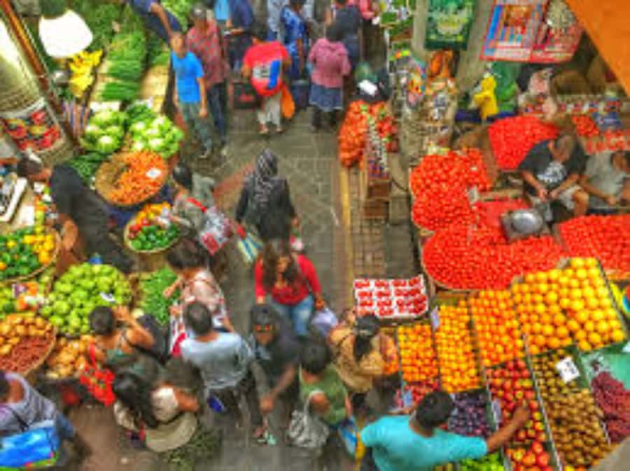 local Market,Botanical garden,Rum tasting & authentic Lunch - Is $225 per person good value?