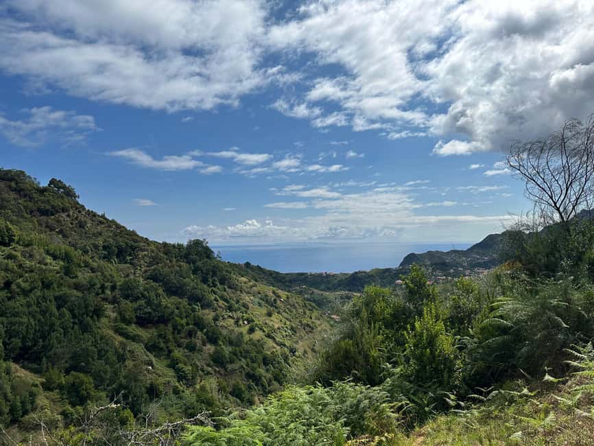 Madeira: Levada Walk and Santo da Serra Market Tour - Starting at Hotel Porto Mare or La Vie
