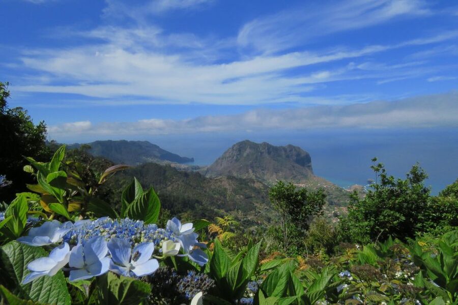 Madeira : Santo de Serra Local Farmers' Market half day trip - What the $49 price includes