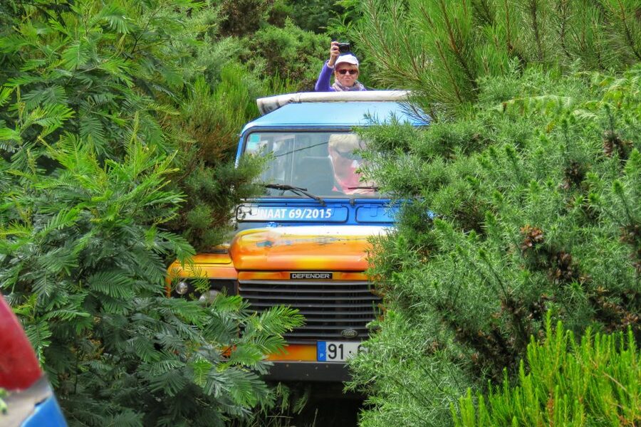 Madeira : Santo de Serra Local Farmers' Market half day trip - Should you book the Santo da Serra 4x4 tour?
