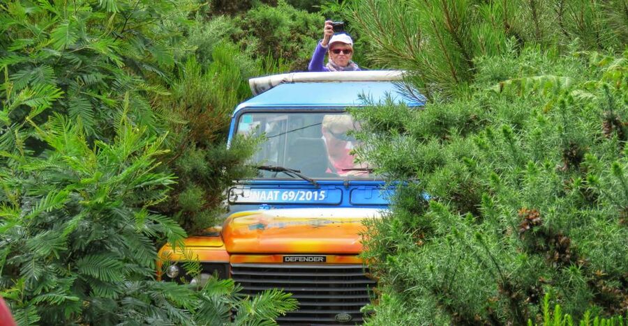 Madeira : Santo de Serra Local Farmers' Market half day trip - The open-top 4x4 changes the pace