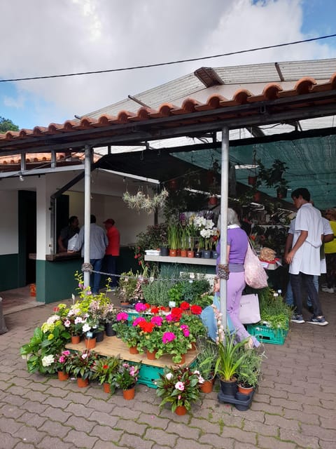Madeira: Sunday Market in Santo da Serra - Why Santo da Serra makes a good Sunday outing