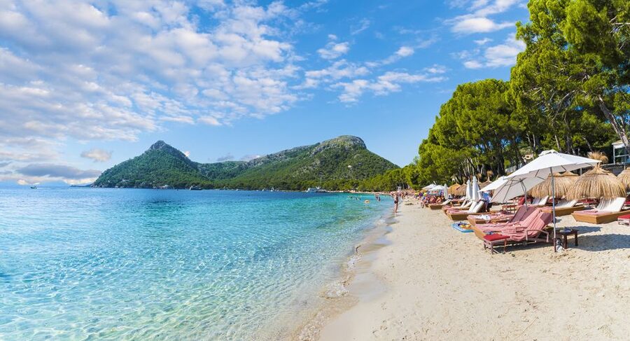 Mallorca: Alcudia Old Town, Market, and Formentor Beach - Practical Tips for Making the Day Better