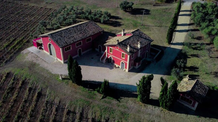 Marche: Tasting and Tour of Local Wines and Flavors at the D'Erasmo Winery - Starting among the Piceno vines