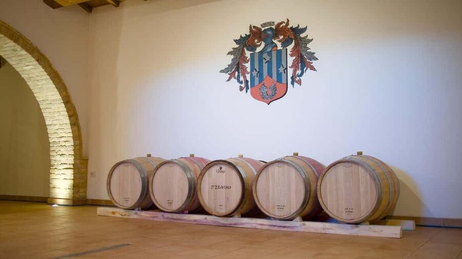 Marche: Tasting and Tour of Local Wines and Flavors at the D'Erasmo Winery - A table filled with Marche flavors