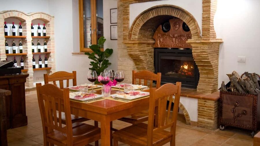 Marche: Tasting and Tour of Local Wines and Flavors at the D'Erasmo Winery - Language, pace, and practical limits