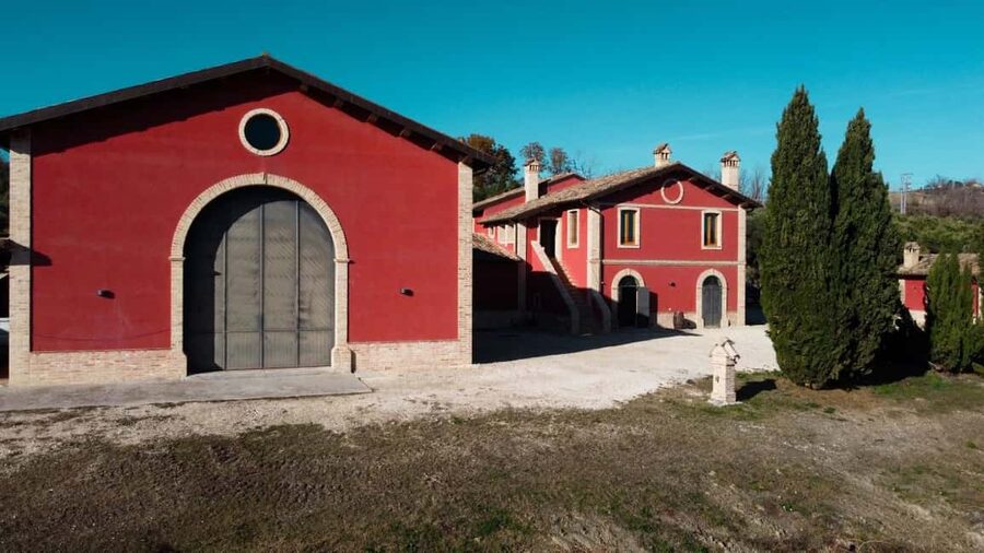 Marche: Tasting and Tour of Local Wines and Flavors at the D'Erasmo Winery - Who should book the D’Erasmo visit?