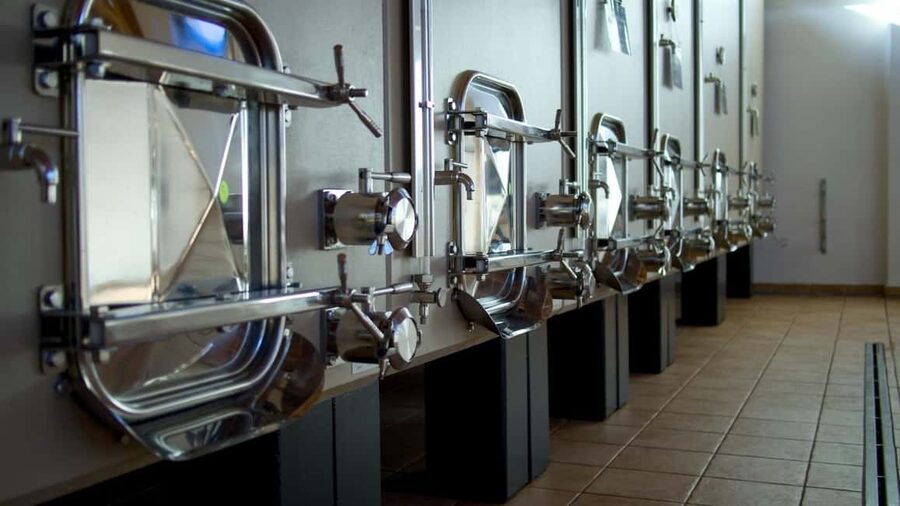 Marche: Tasting and Tour of Local Wines and Flavors at the D'Erasmo Winery - Should you book this winery tour?
