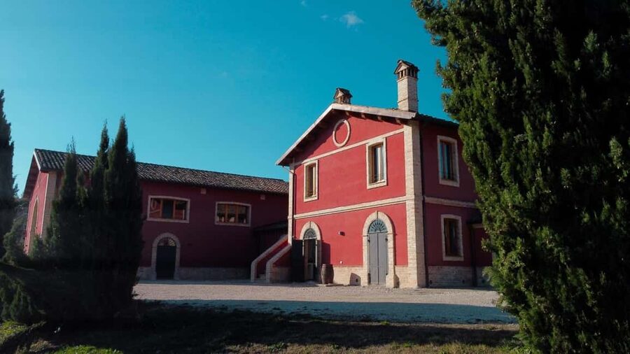 Marche: Tasting and Tour of Local Wines and Flavors at the D'Erasmo Winery - Three wines from the Marche