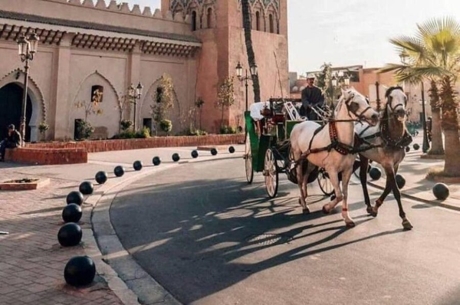 Marrakech: Hidden Souks Shopping Tour with Private Guide - The pickup problem deserves attention
