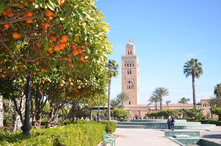 Marrakech: Monuments, Souks and Medina Guided Walking Tour - Ben Youssef Medersa and the finest decoration of the route