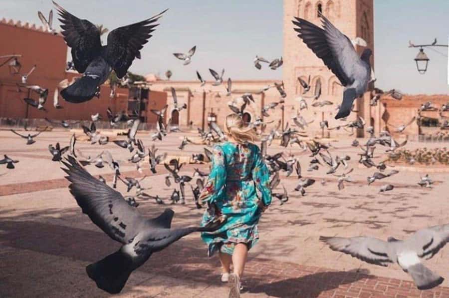 Marrakech: private Guided tour Of Vibrant Souks - Key points to know before booking