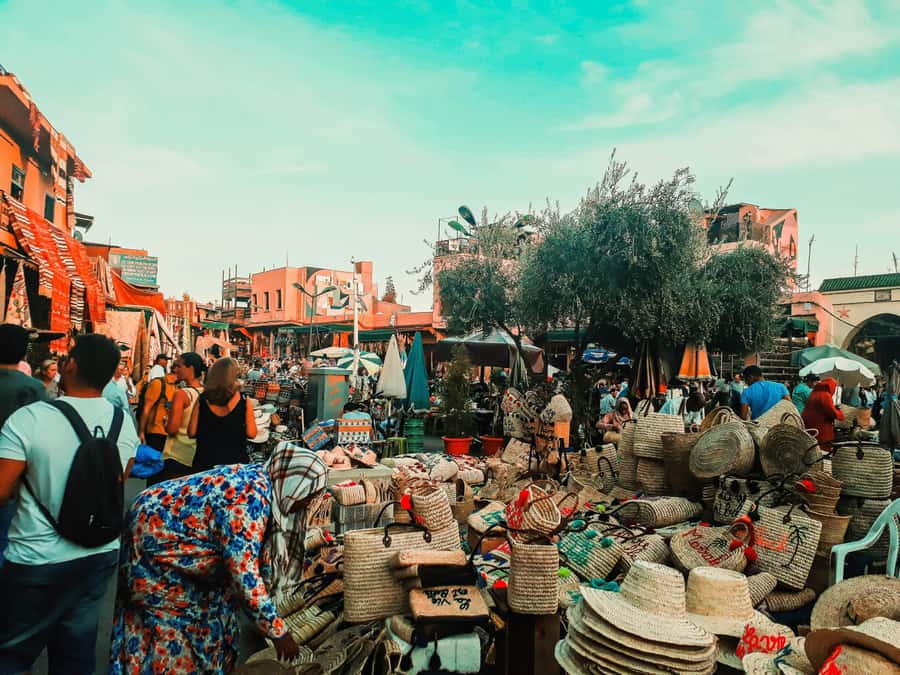 Marrakech & Souk Shopping Tour. - Should you book the Marrakech Souk Shopping Tour?