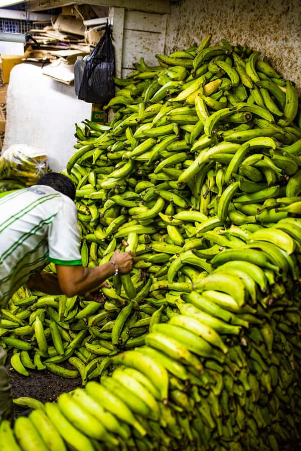 Medellín Multi-sensory Tour in the market, +15 Exotic Fruits - The fruit itself: expect variety, not a fixed menu