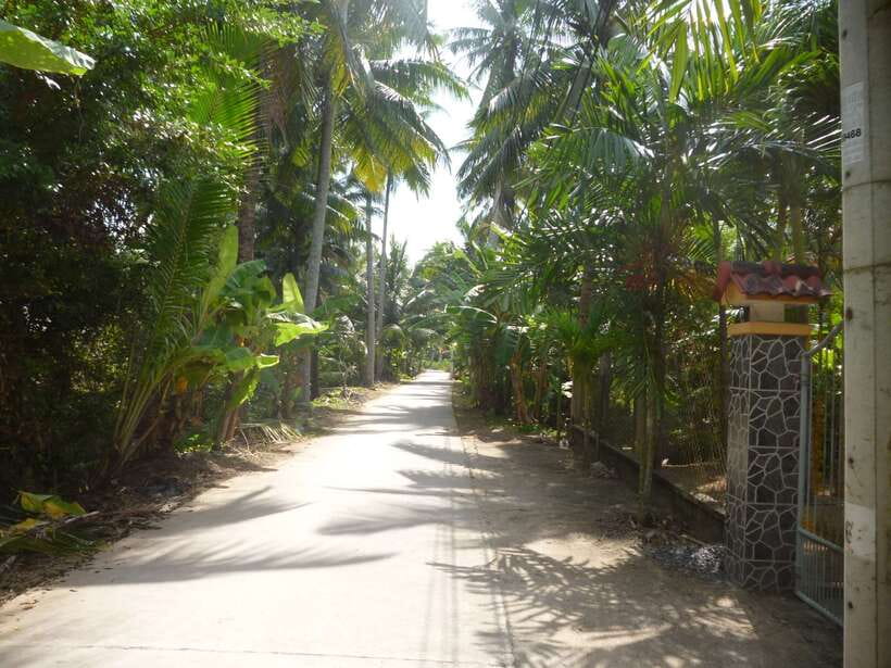 Mekong Day Tour by Car:Cai Be market, Local Island & Cycling - Boarding your private boat in Cái Bè