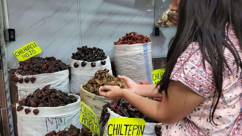 Mexico: Salsa Making Class in a Market with a Chef - Shopping for Ingredients in an Oaxaca Market