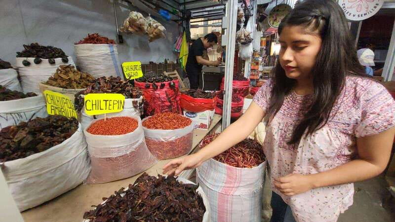 Mexico: Salsa Making Class in a Market with a Chef - Using a Molcajete and Pre-Hispanic Tools