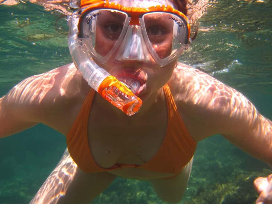 Miami Snorkeling for Beginners from Bayside Market Place - Who should book this Miami water trip