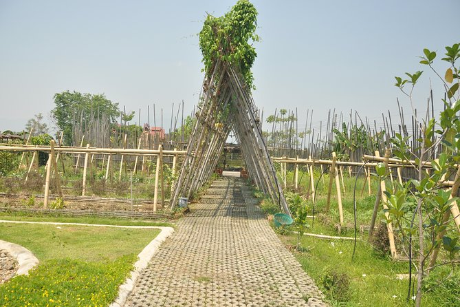 Morning Cooking Class in Organic Farm with Local Market Tour - A few practical booking notes