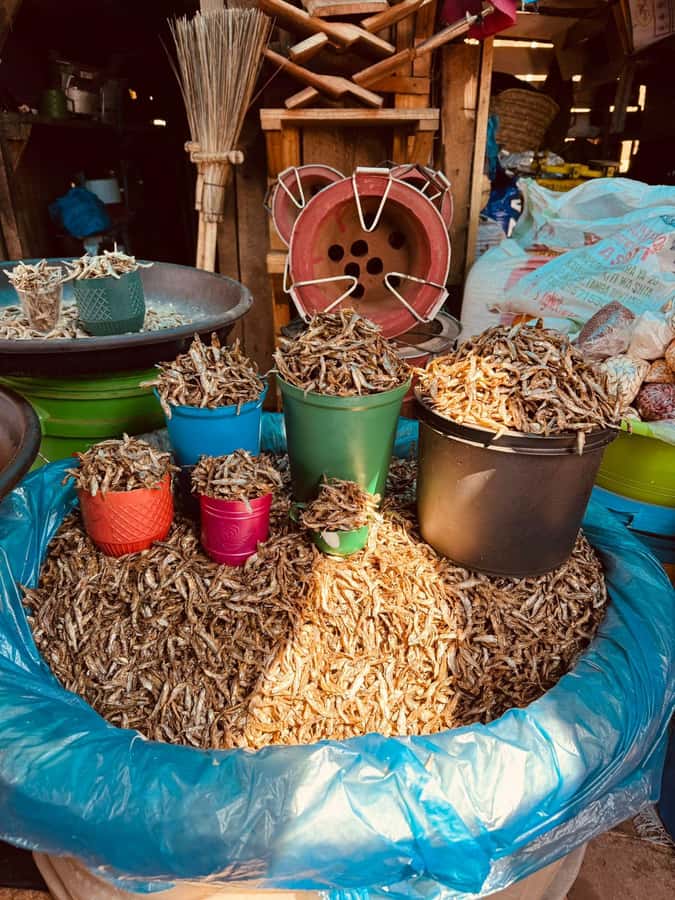 Moshi: Town tour and Local Markets tour - Coffee Union Cafe gives your feet and senses a break