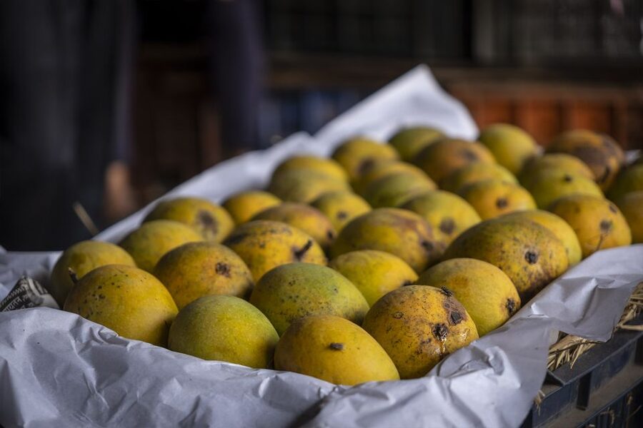 Mumbai: Local Markets & Temples Tour - Why these markets are the right introduction to Mumbai