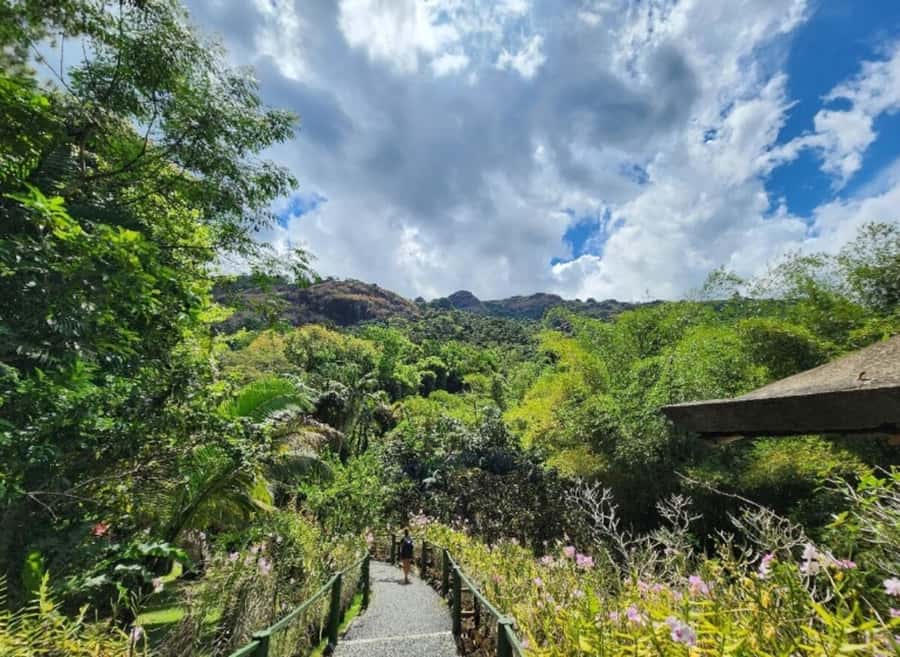 Nadi: Private Tour with Temple, Garden, Markets & Mud Pools - Sabeto Hot Springs and Mud Pool: the most hands-on stop