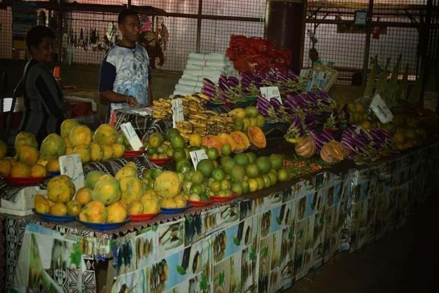 Nadi: Private Tour with Temple, Garden, Markets & Mud Pools - Should you book this Nadi tour?