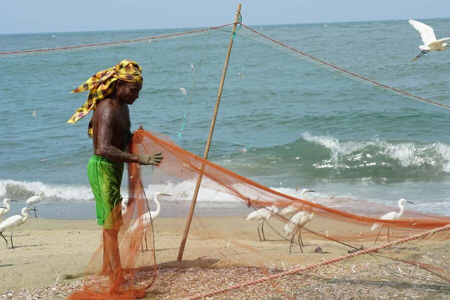 Negombo Private Tour: Market, Temples & Canal - Key points before you book