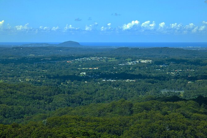 Noosa, Eumundi Markets, Glass House Mountains from Brisbane - The small group and the guide make a difference