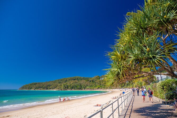 Noosa Heads and Eumundi Markets Private Tour from Brisbane - Why this private Brisbane day trip works