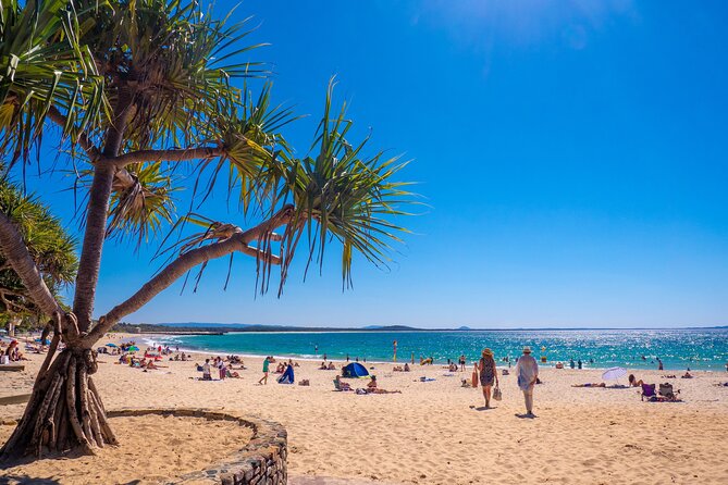 Noosa Heads and Eumundi Markets Private Tour from Brisbane - Coolum Lows Lookout keeps the coastal views going