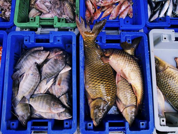 Noryangjin Fish Market Dinner - Key Points to Know