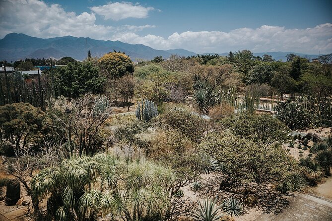 Oaxaca City Walking Tour - Markets, Textile museum & Lunch - Santo Domingo Church gives the walk a grand landmark
