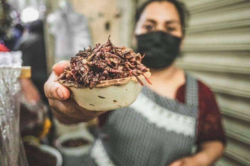 Oaxaca Markets Food Tour - Who should book this experience?