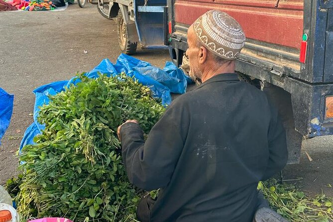 Old local Market visit+Moroccan cooking class with a local family - Price, Group Size, and Overall Value
